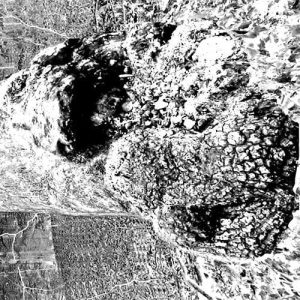 193da76310c74e16719f90c52f2703a7