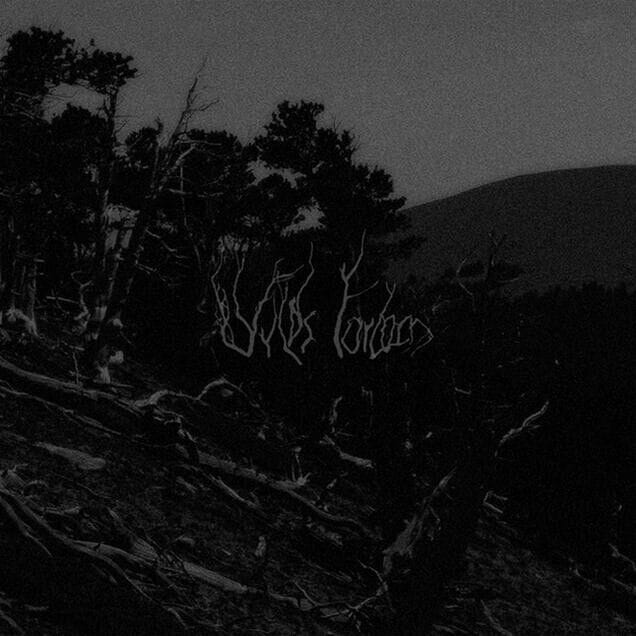 WILDS FORLORN – Bellum Omnium Contra Omnes CD