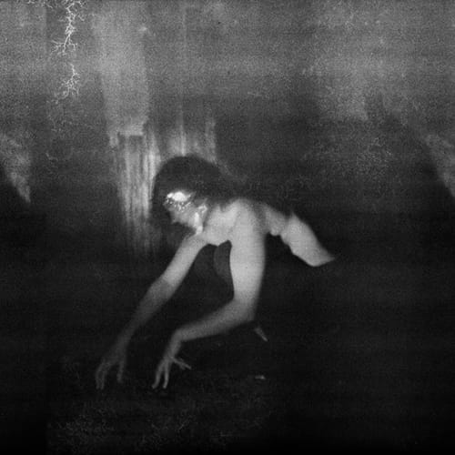 DEMANDE A LA POUSSIERE – Quietude Hostile 12″ LP