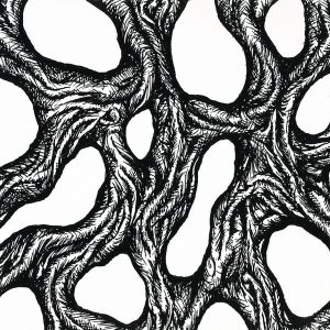 TAAKEFERD - Nar Sirkelen Brytes 12" LP