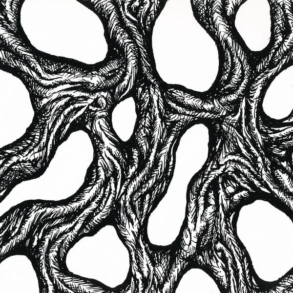 TAAKEFERD – Nar Sirkelen Brytes 12″ LP